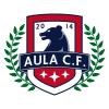 AULA C.F. (Madrid)                                2 equipos: Cadete - Infantil 